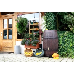 Zbiornik na deszczówkę Barrique (Beczka) 250 litrów ciemny brąz 3PTechnic